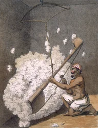 Zgrzeblanie bawełny z "Voyages aux Indes et a la Chine", 1782 r.